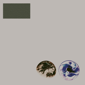 the earth next to a chitinous shell