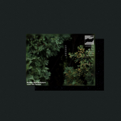 a pixellated forest passage